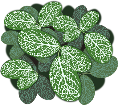 Plant Png 383 X 340
