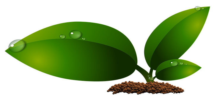 Plant Png 730 X 340