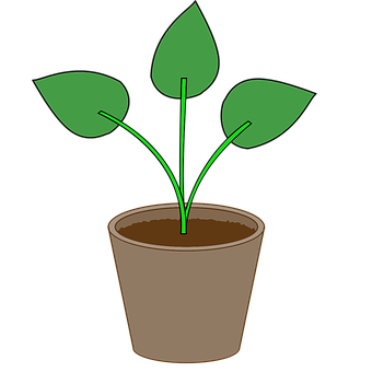 Plant Png 340 X 340