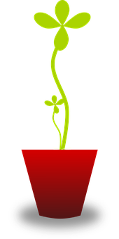 Simple Illustrated Potted Plant