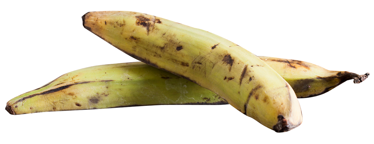 Plantain Png 1307 X 506