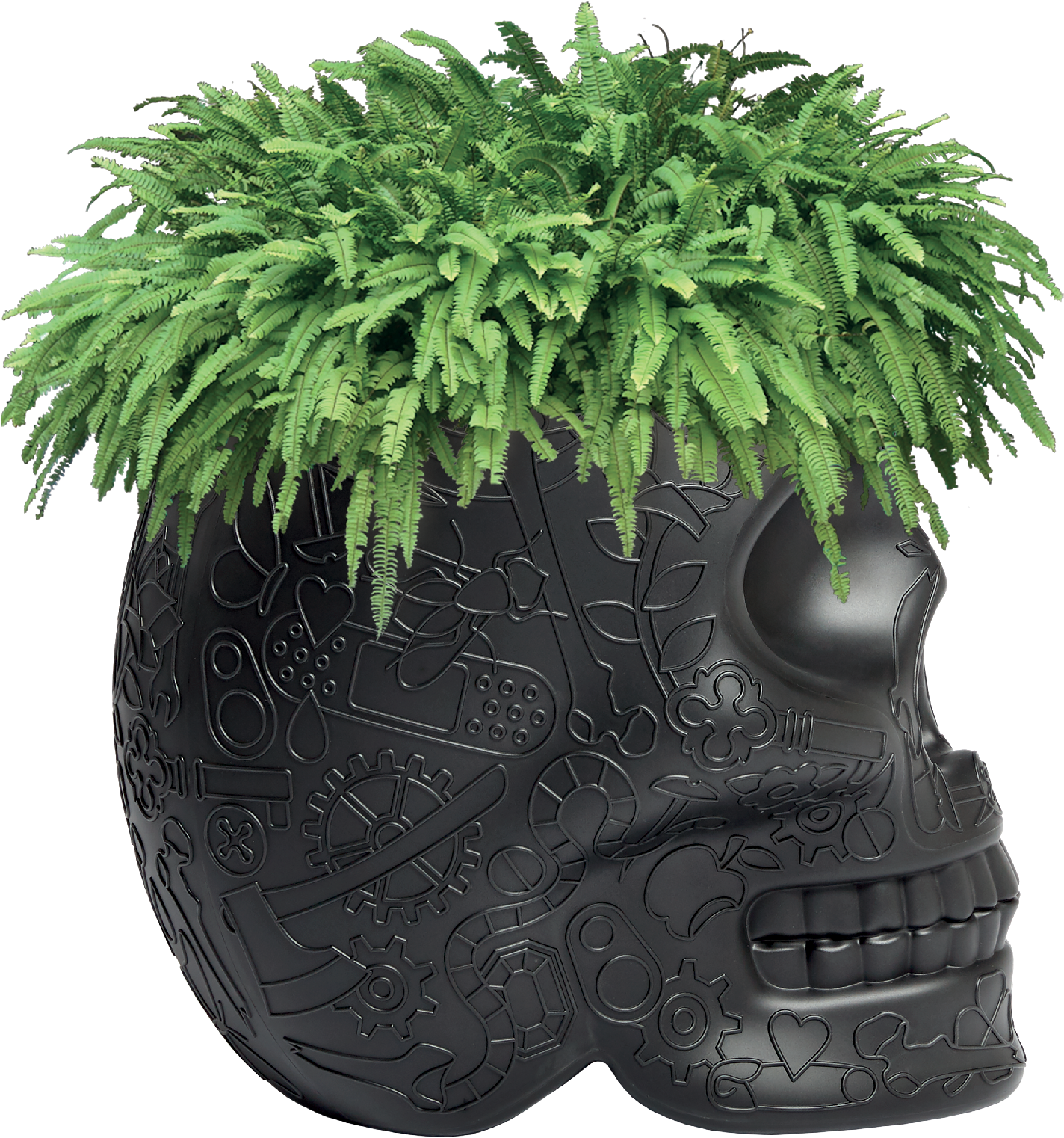 Creative Black Skull Planter Side View