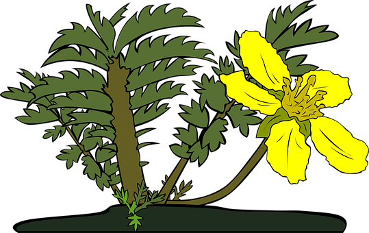 A Yellow Flower Next To A Plant