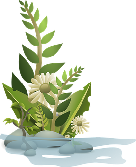 A Plant In The Water