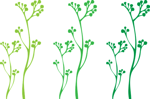 A Group Of Green Plants