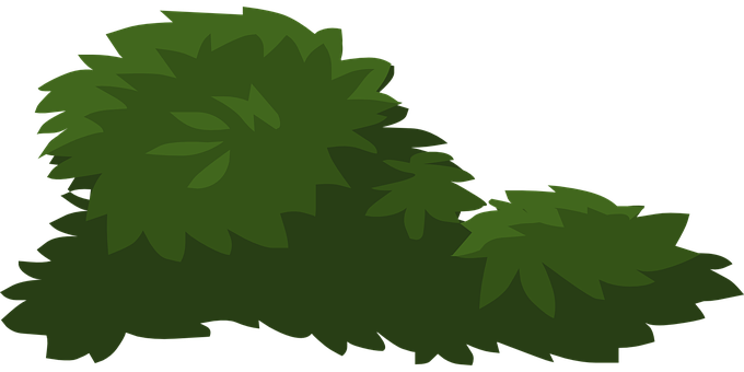 A Green Bush With Black Background
