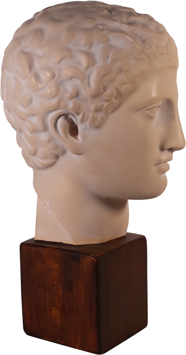 Plaster Bust Of Roman Male - Bust, Hd Png Download