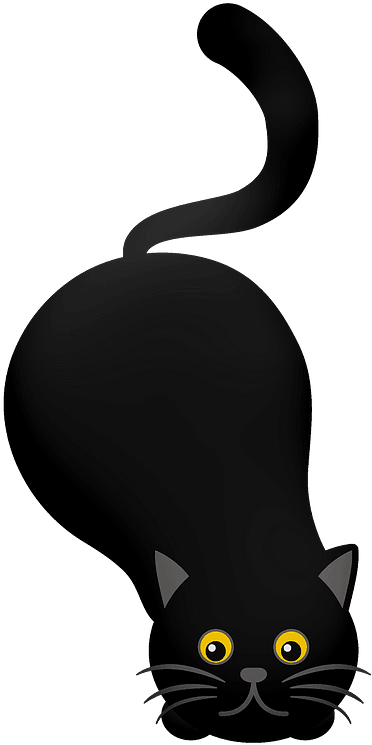 A Black Cat With Tail