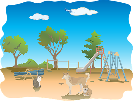 A Dog And Cat In A Playground