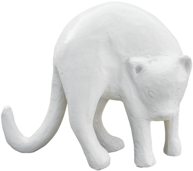 Png Cat Plaster Free Photo - Indian Elephant, Transparent Png