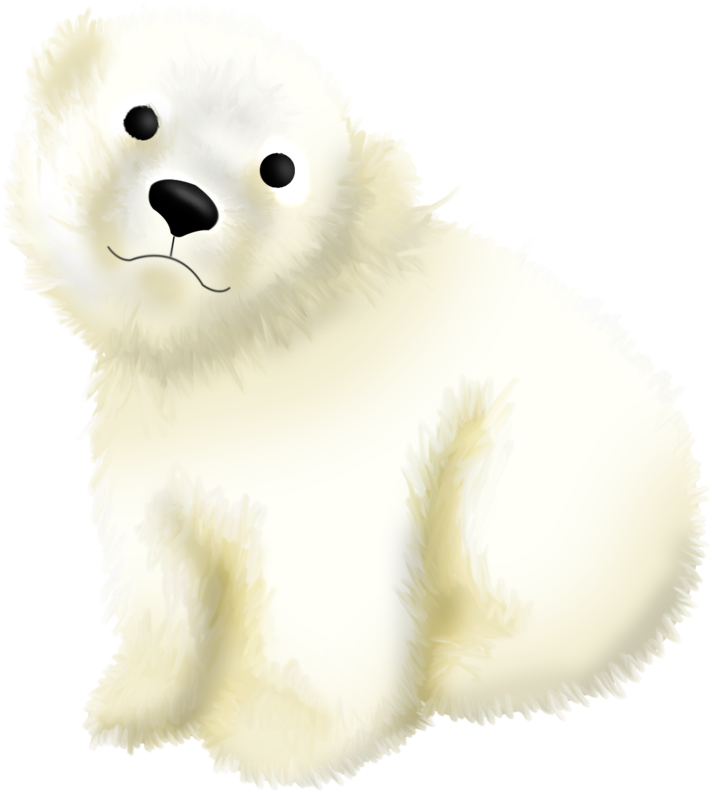 A White Fluffy Bear With A Sad Face