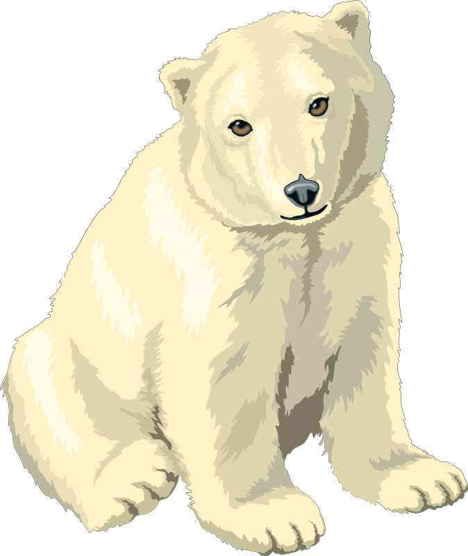 A White Bear Sitting On A Black Background
