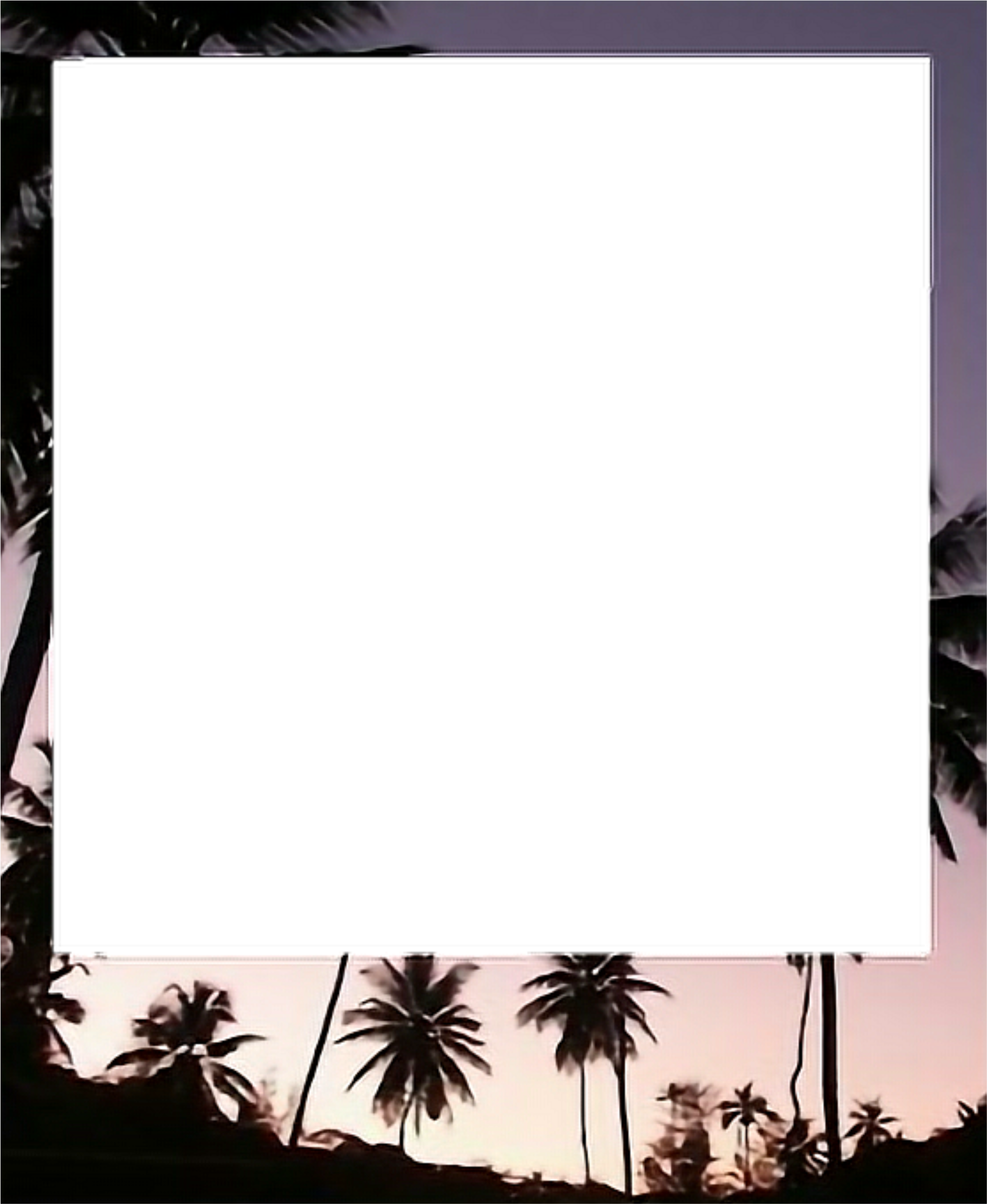 Polaroid Tumblr Frame Palm Trees