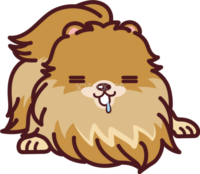 Pomeranian Shiba Inu Snout Clip Art, Hd Png Download