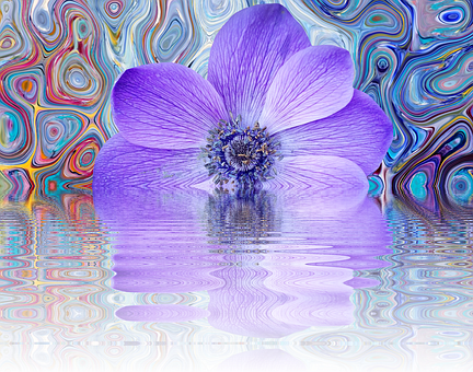 A Purple Flower In Water
