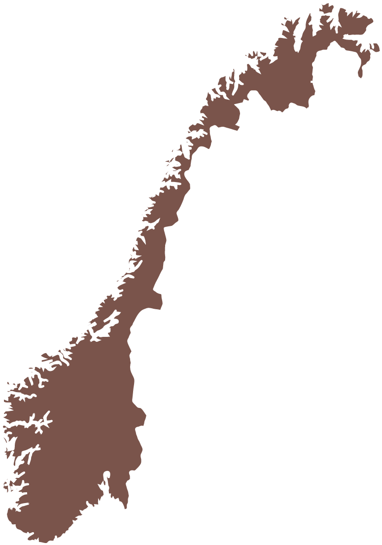 A Brown And White Outline Of A Country
