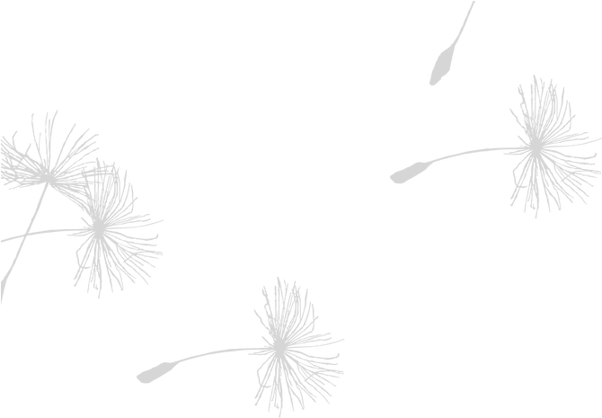 A Black Background With Dandelions