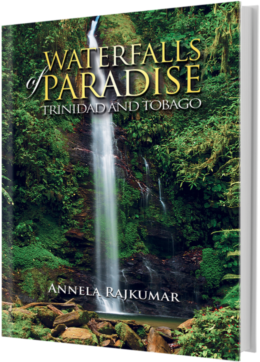 A Book Cover With A Waterfall