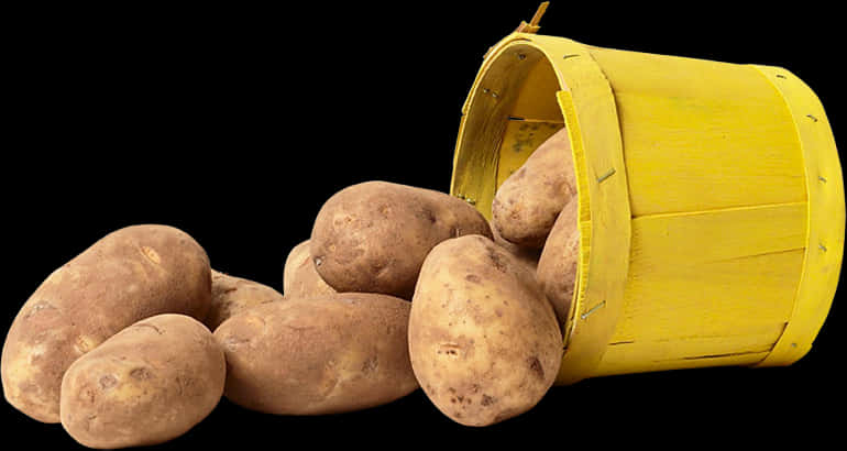 Potato In Yellow Bucket