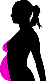 A Pink And Black Silhouette Of A Woman