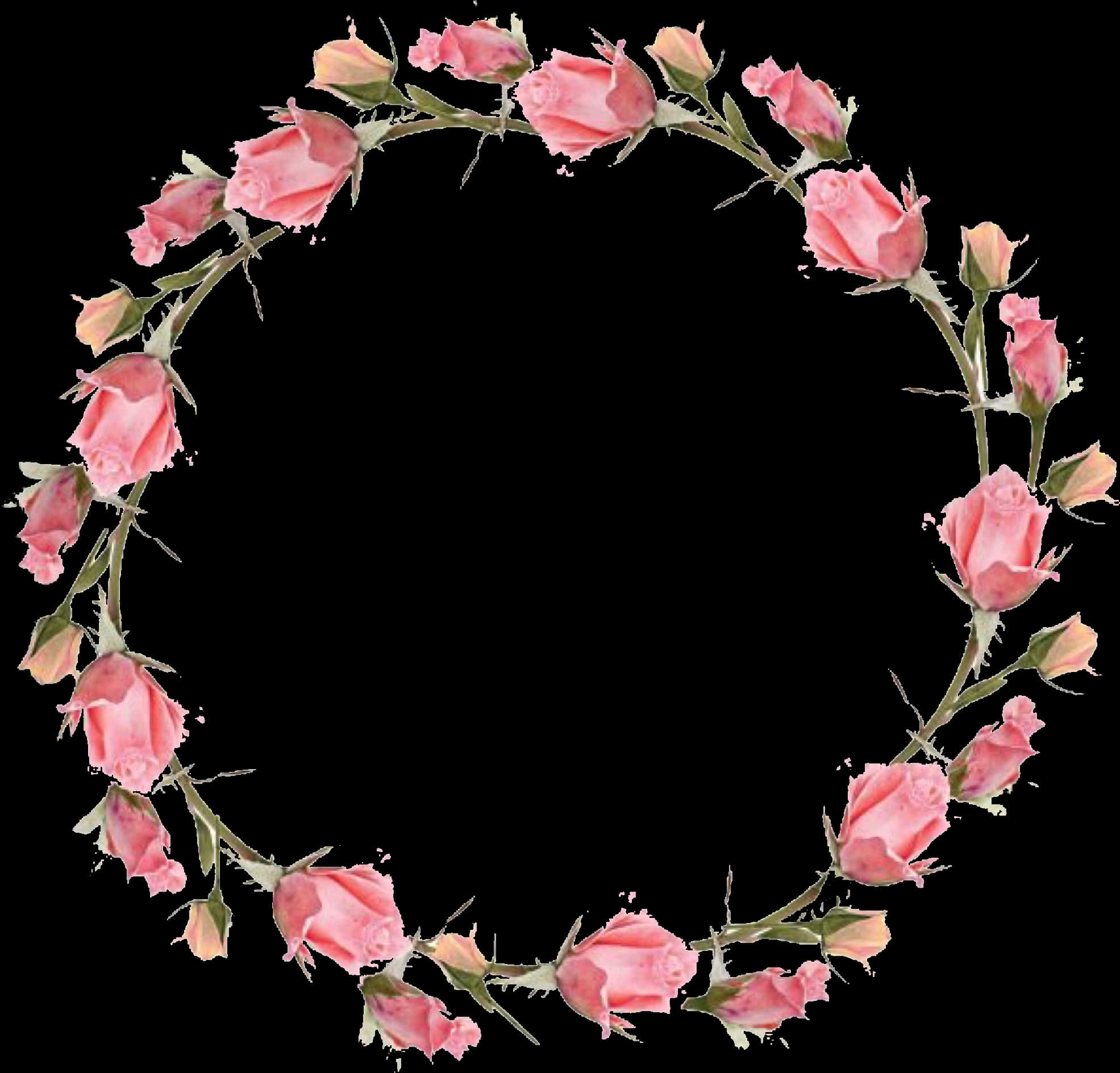 A Circle Of Pink Roses
