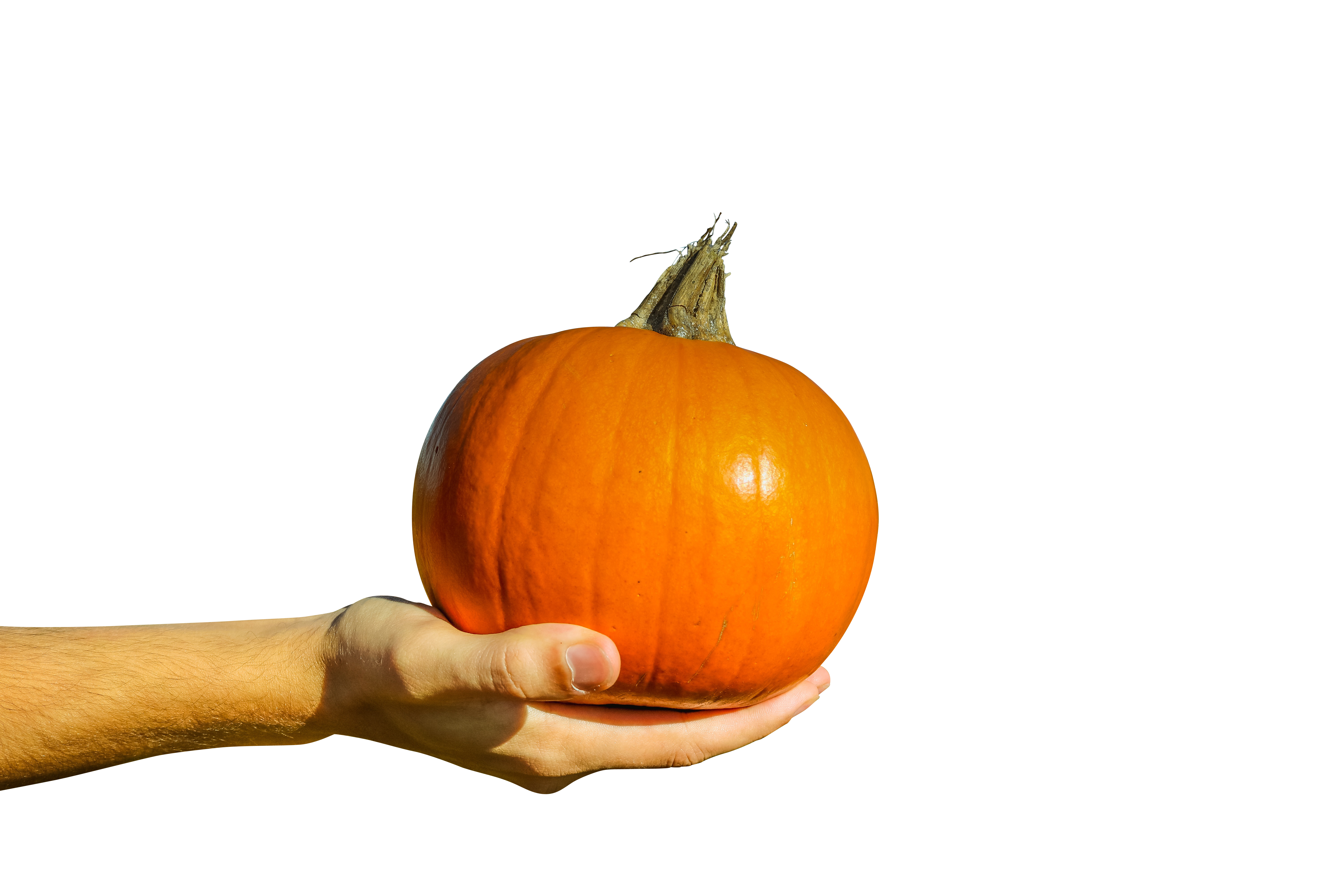 A Hand Holding A Pumpkin