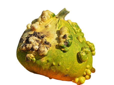 A Yellow And Green Pumpkin With White Spots