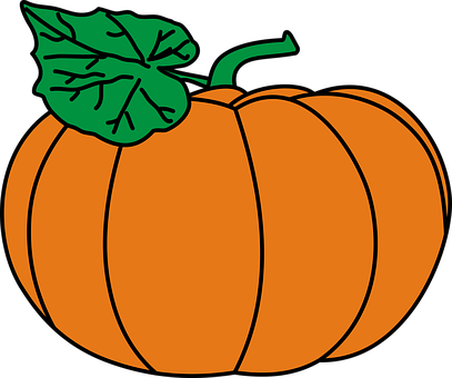 A Pumpkin With A Leaf On Top