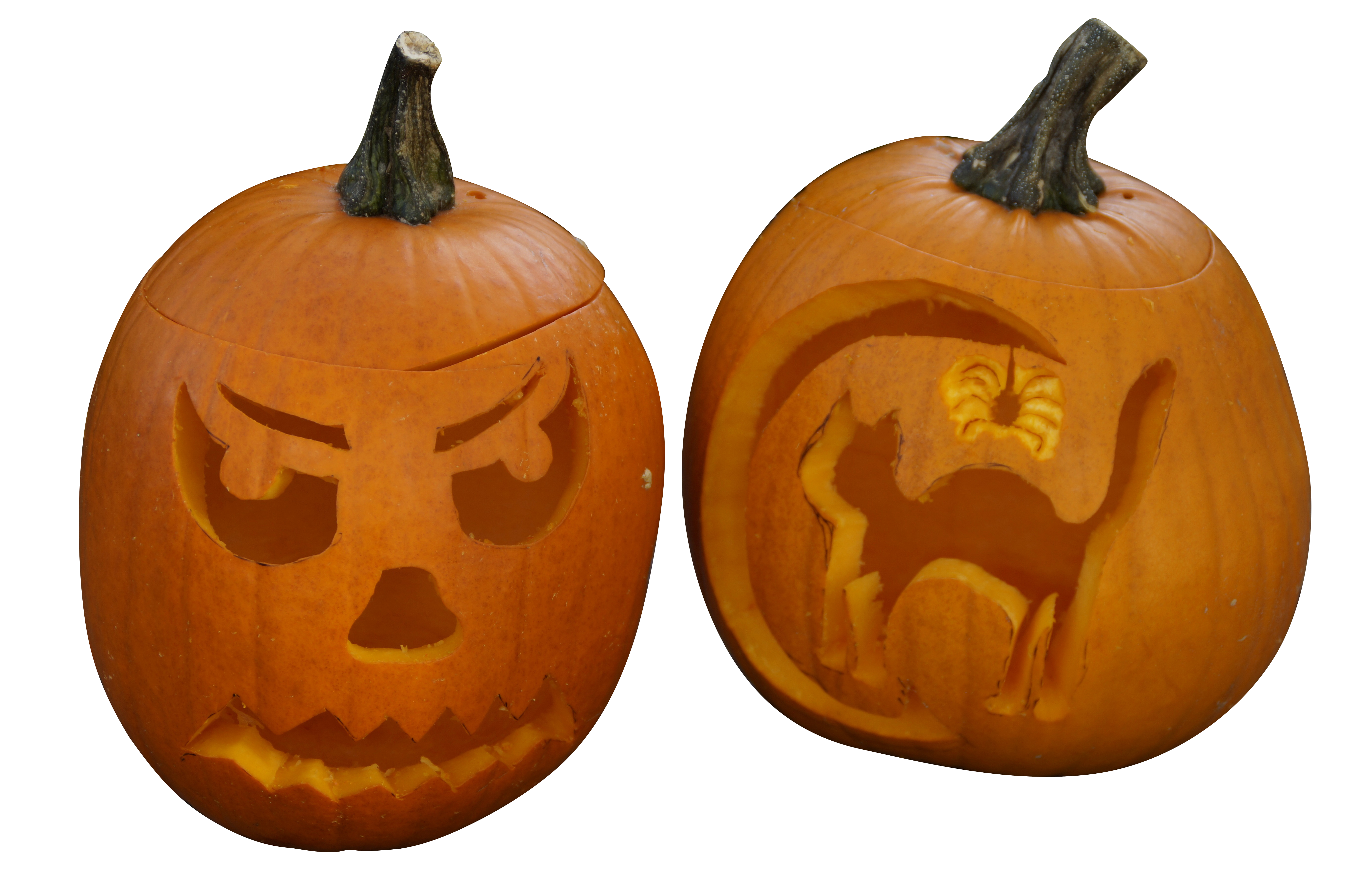 A Couple Of Carved Pumpkins