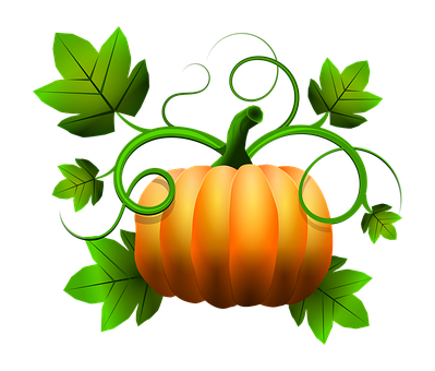 A Pumpkin With Green Leaves