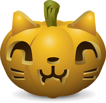A Pumpkin With A Cat Face