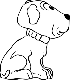 A White Dog With A Collar