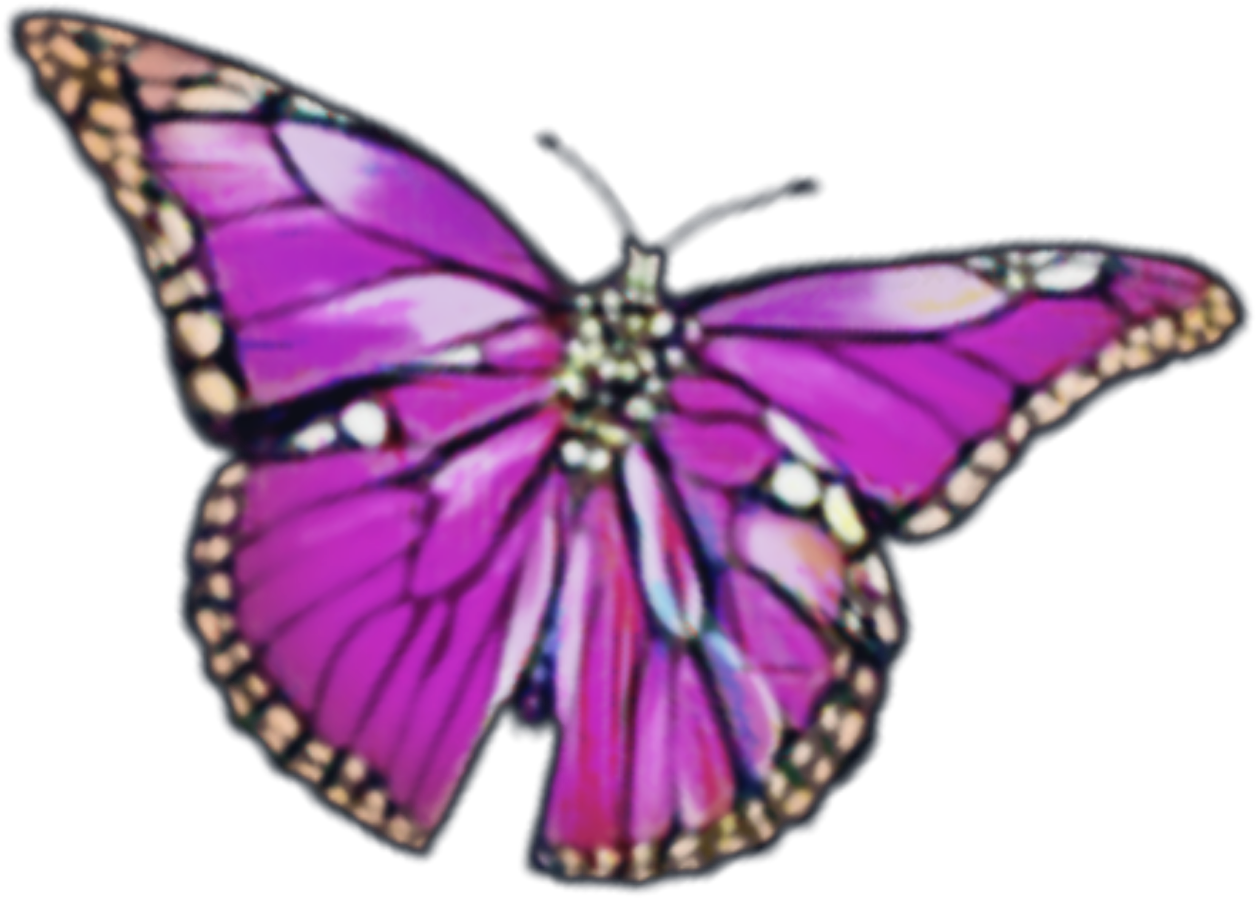 A Purple Butterfly With Black Background