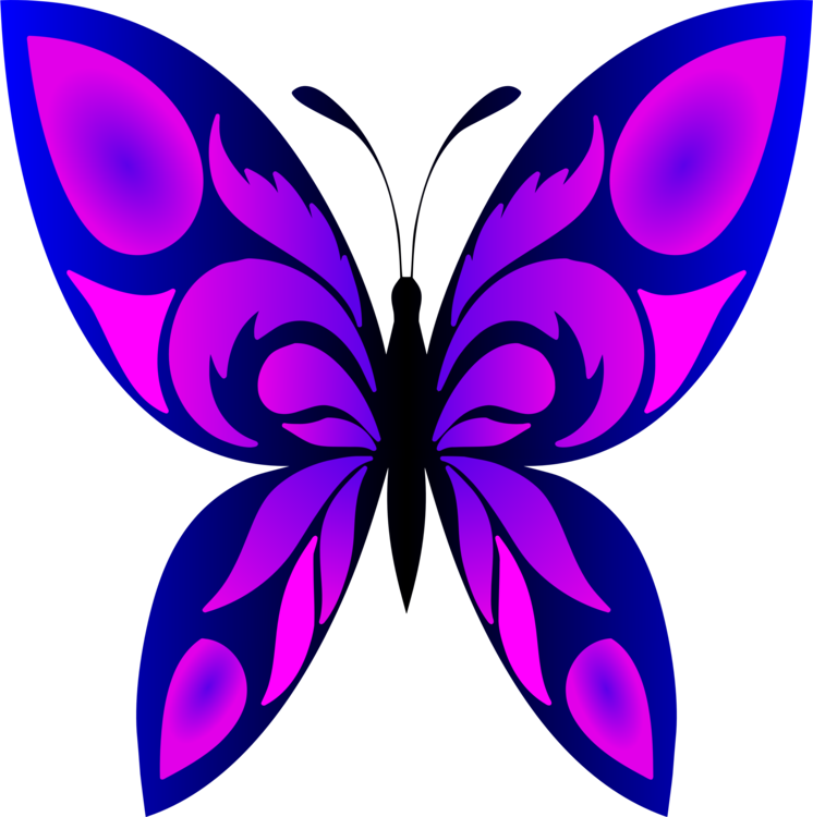 A Blue And Purple Butterfly