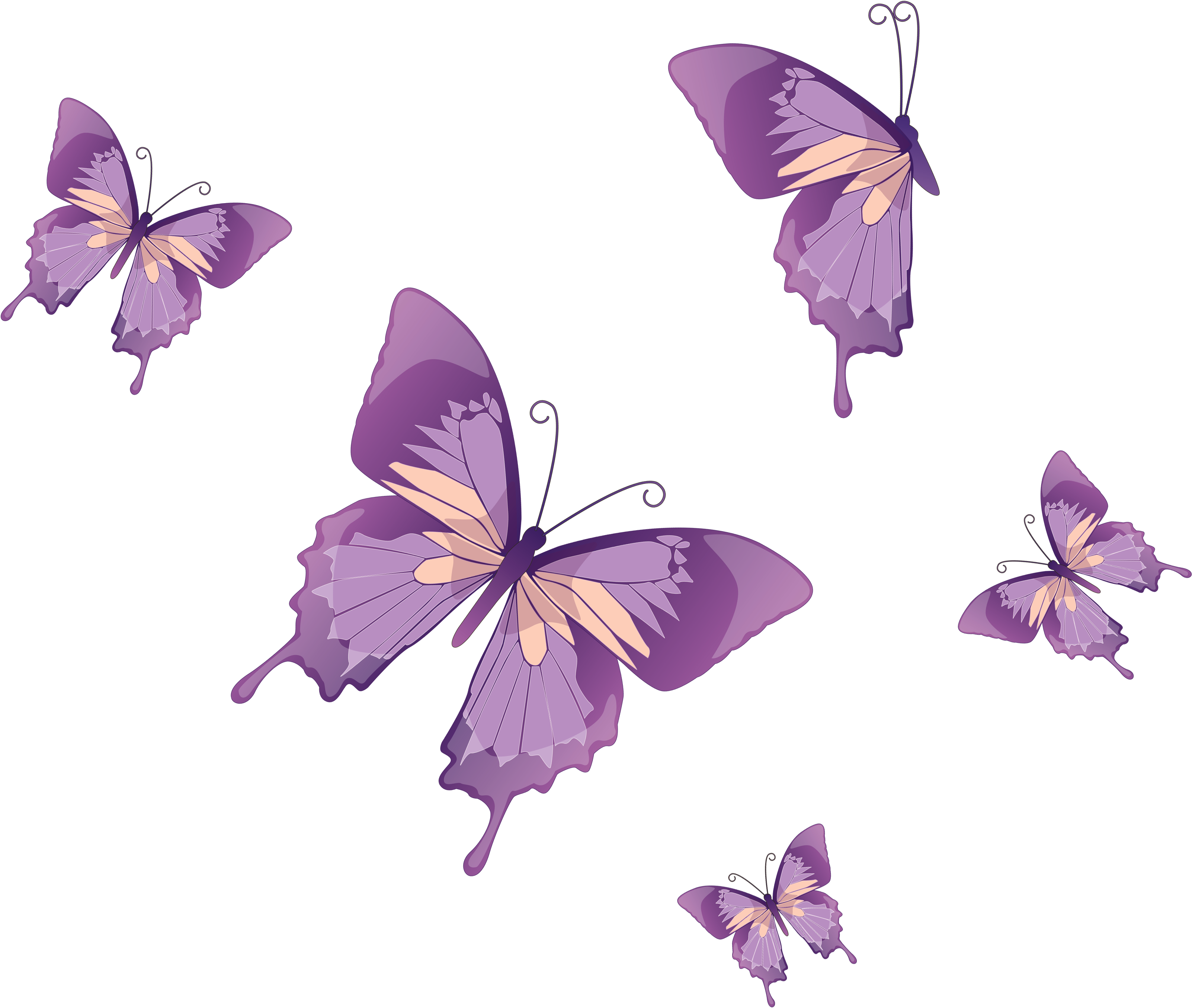 A Group Of Purple Butterflies