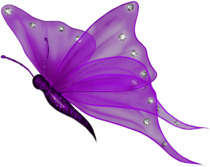 A Purple Butterfly With Rhinestones
