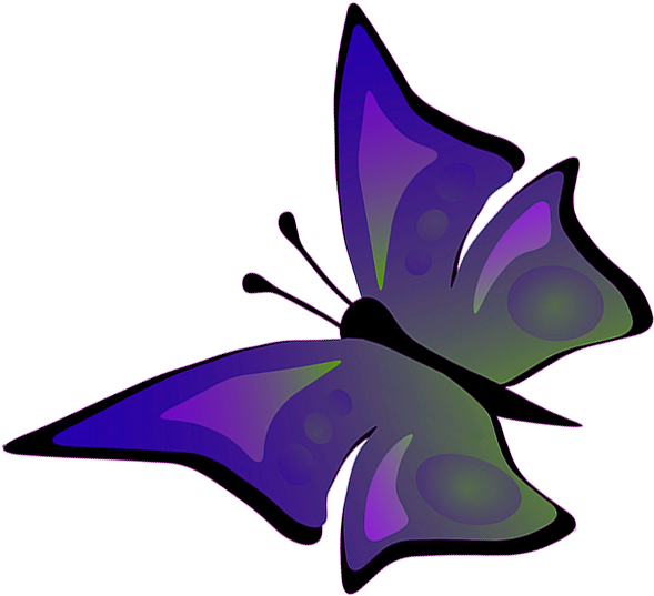 A Purple And Green Butterfly