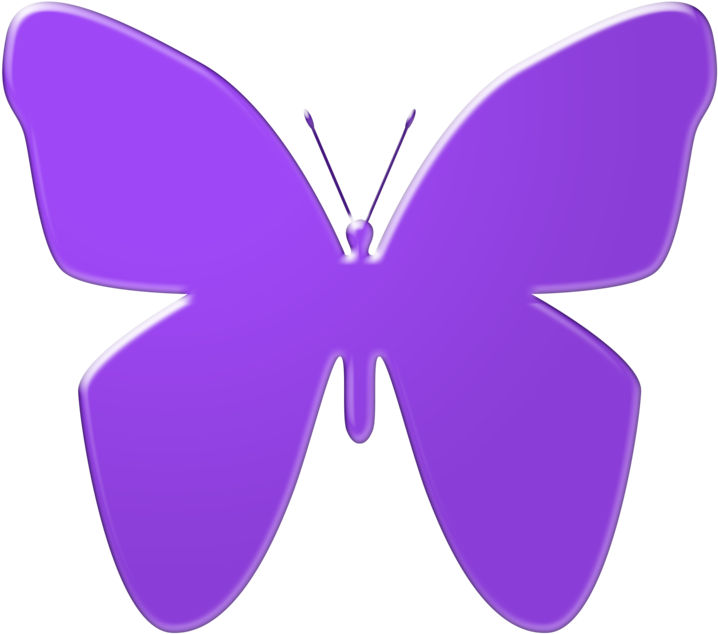 A Purple Butterfly With Black Background
