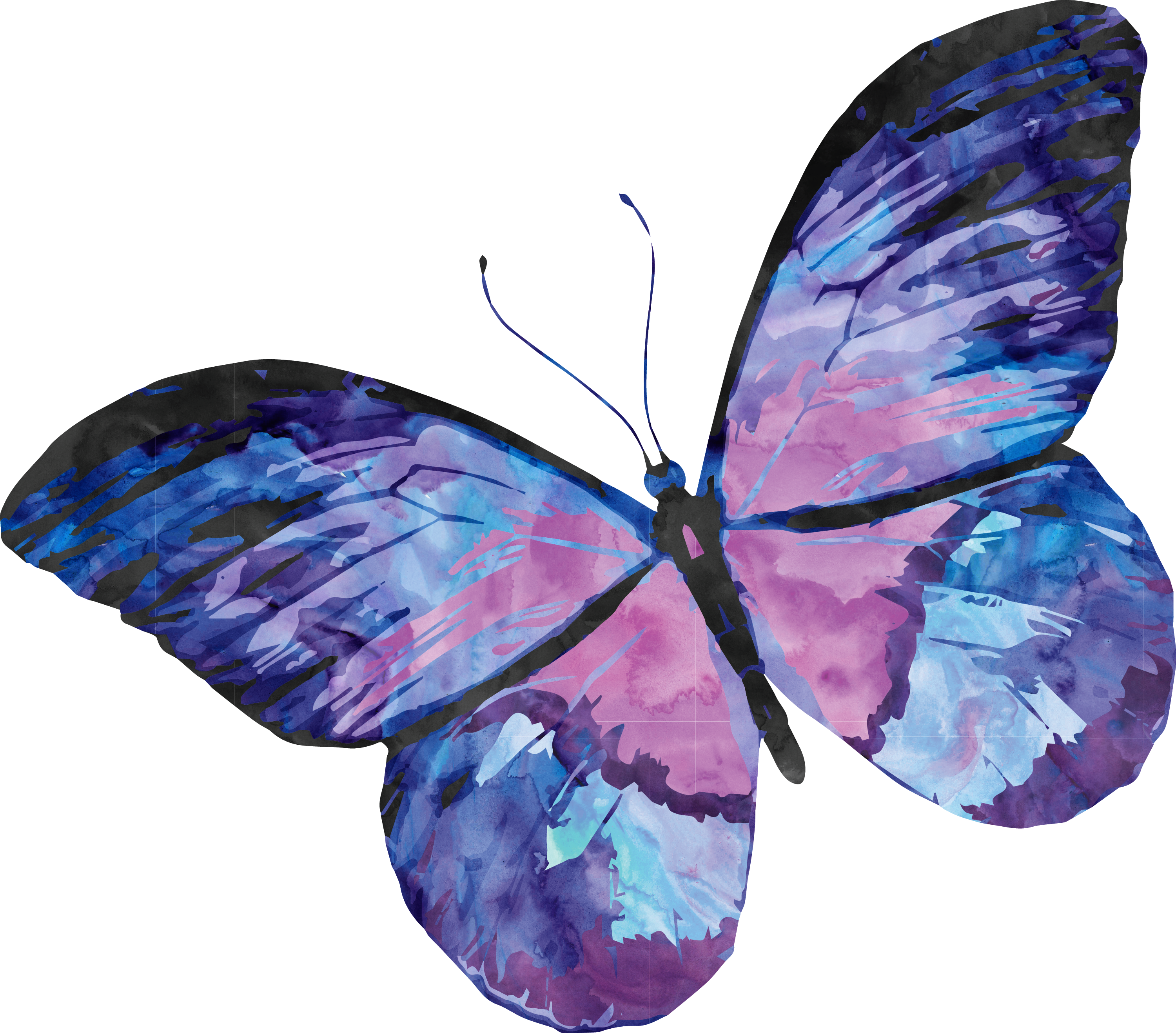 A Butterfly With Blue And Purple Wings
