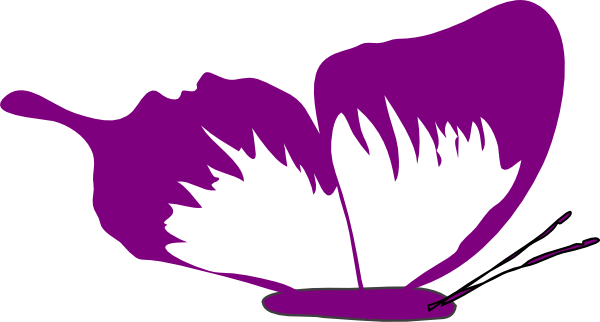 A Purple Bird With Black Background