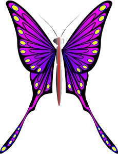 A Purple Butterfly With Yellow And Purple Wings