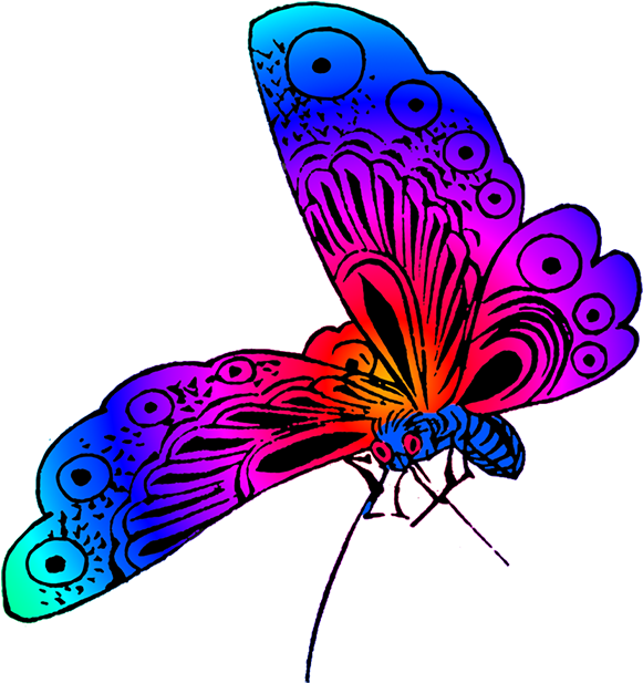 A Colorful Butterfly With Wings