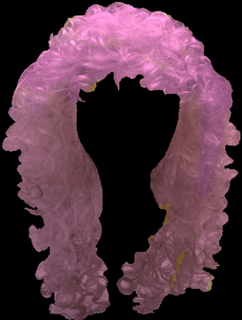 A Person's Head With A Wig