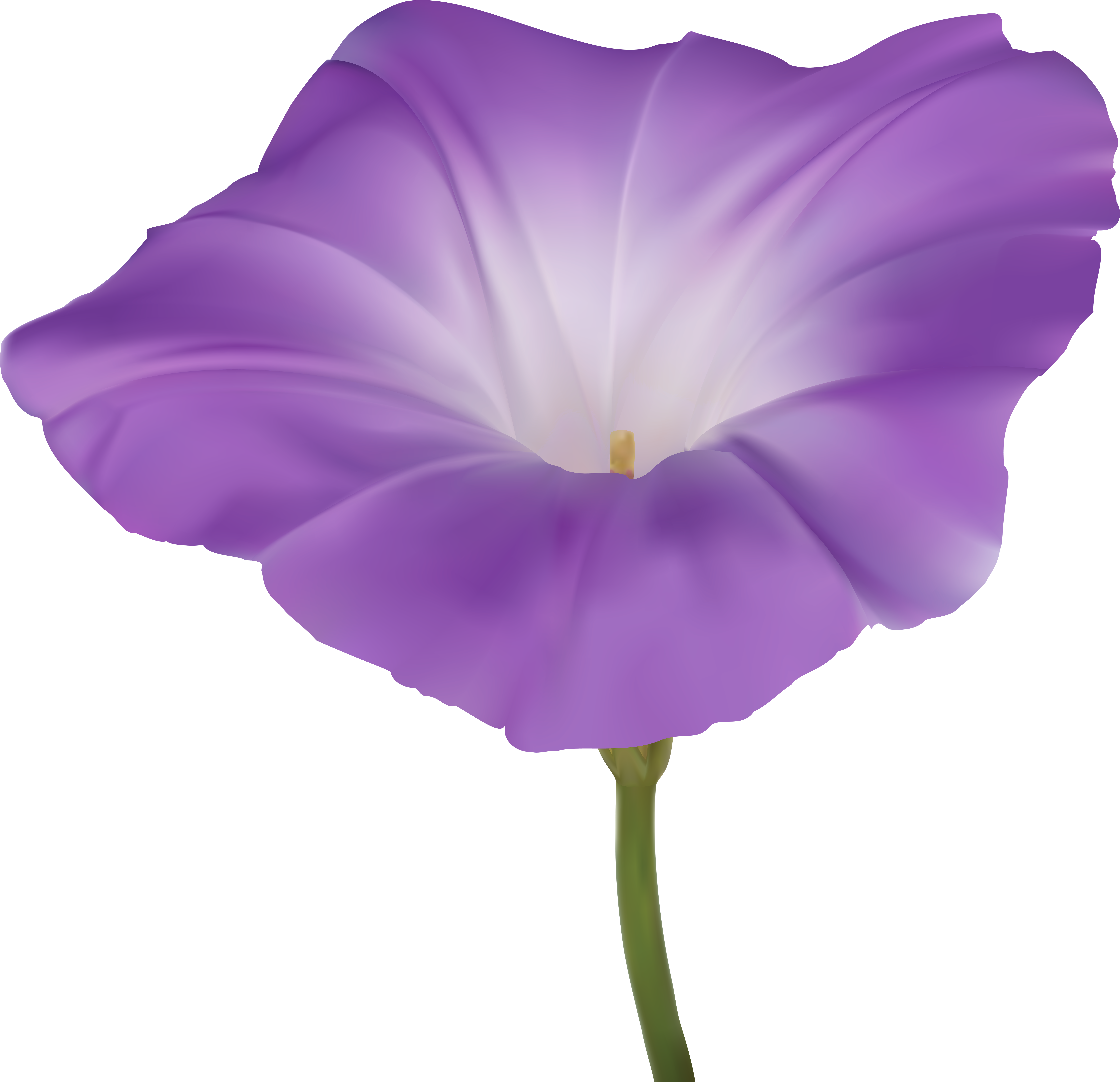 A Purple Flower With A Green Stem