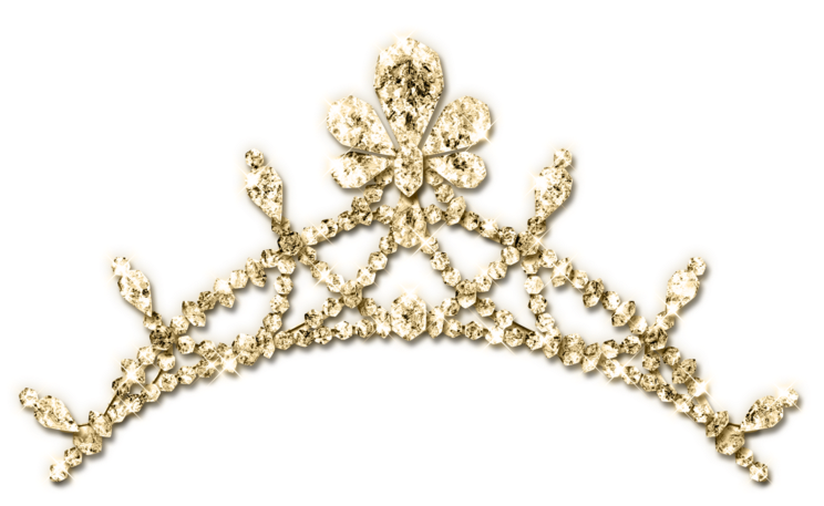 A Diamond Tiara With A Flower Design