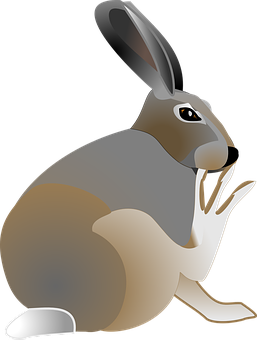 Rabbit Png 257 X 340