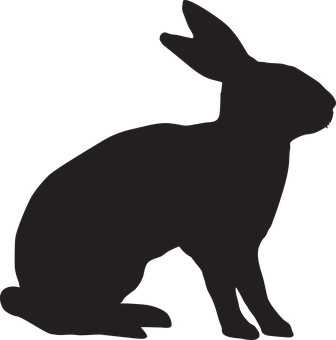A Silhouette Of A Rabbit