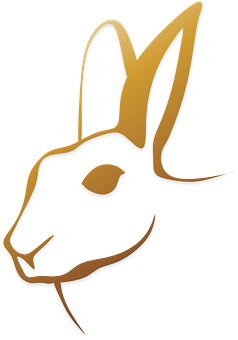 A Rabbit Head With A Black Background