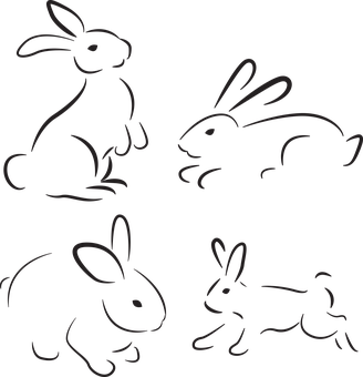 A Group Of Rabbits On A Black Background