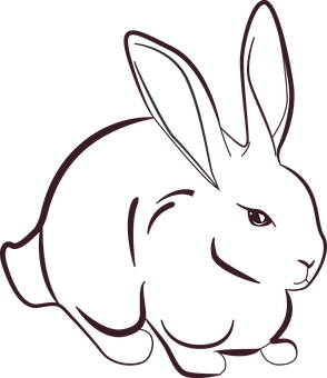 A Black Rabbit With Long Ears